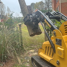 Expert-Emergency-Tree-Removal-in-Doublegate-Subdivision 0