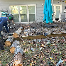 Storm-Damaged-Pine-Removal-in-Silver-Ridge-Subdivision 3