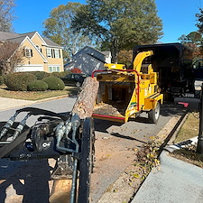 Storm-Damaged-Pine-Removal-in-Silver-Ridge-Subdivision 2