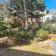 Storm-Damaged-Pine-Removal-in-Silver-Ridge-Subdivision 0