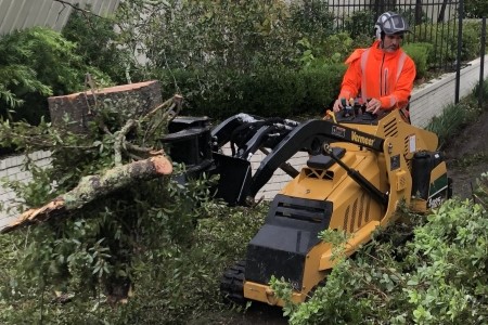 Storm Cleanup